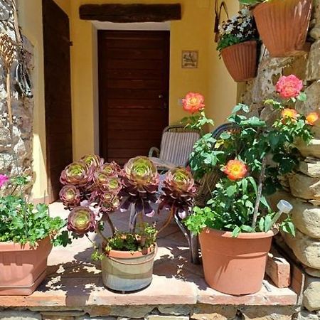 Casa Galla Овада Екстер'єр фото